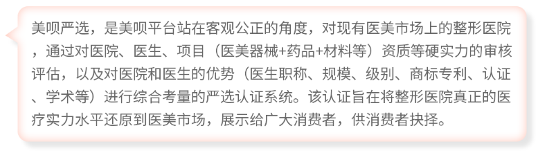 嚴選說明